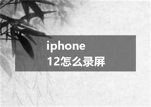 iphone12怎么录屏