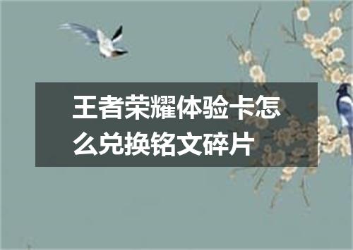 王者荣耀体验卡怎么兑换铭文碎片
