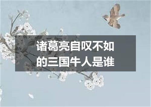 诸葛亮自叹不如的三国牛人是谁