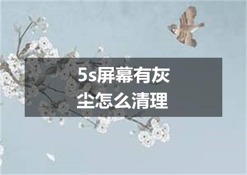 5s屏幕有灰尘怎么清理