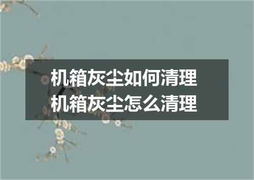 机箱灰尘如何清理 机箱灰尘怎么清理