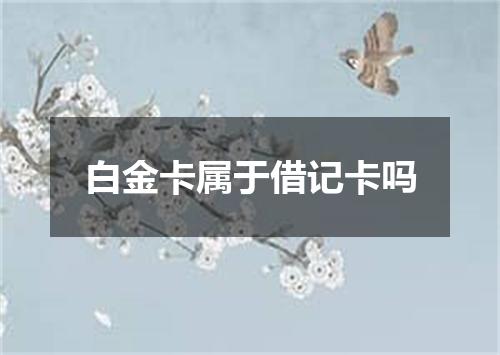 白金卡属于借记卡吗