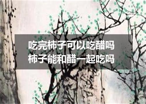 吃完柿子可以吃醋吗 柿子能和醋一起吃吗