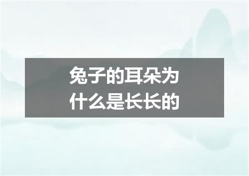 兔子的耳朵为什么是长长的