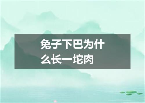 兔子下巴为什么长一坨肉