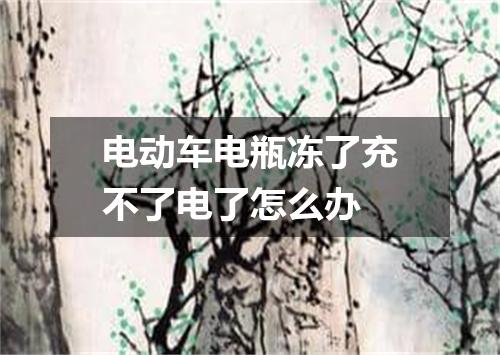 电动车电瓶冻了充不了电了怎么办