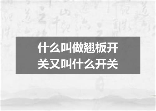 什么叫做翘板开关又叫什么开关