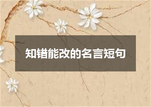 知错能改的名言短句