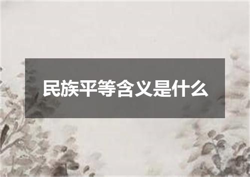 民族平等含义是什么