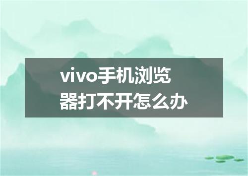 vivo手机浏览器打不开怎么办