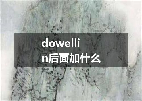 dowellin后面加什么