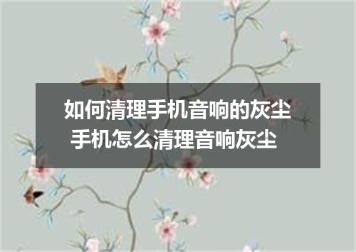 如何清理手机音响的灰尘 手机怎么清理音响灰尘