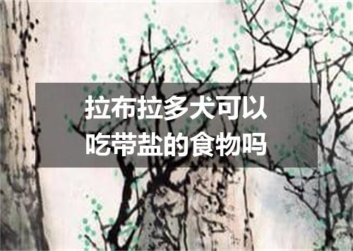 拉布拉多犬可以吃带盐的食物吗