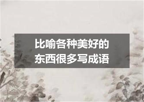 比喻各种美好的东西很多写成语