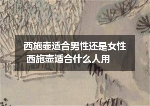 西施壶适合男性还是女性 西施壶适合什么人用