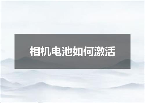 相机电池如何激活