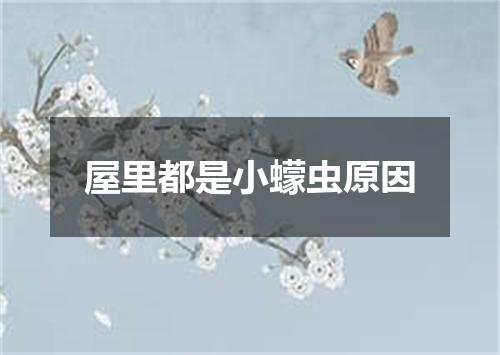 屋里都是小蠓虫原因