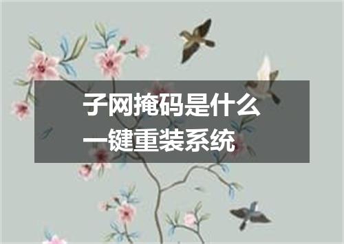 子网掩码是什么一键重装系统