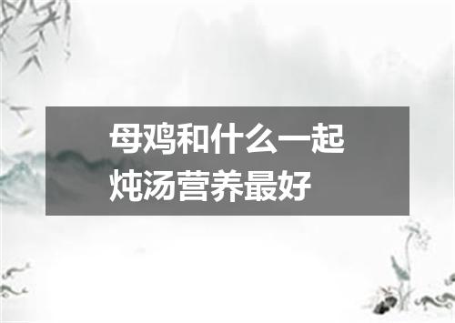 母鸡和什么一起炖汤营养最好