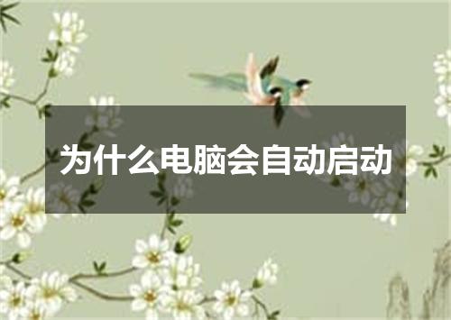 为什么电脑会自动启动
