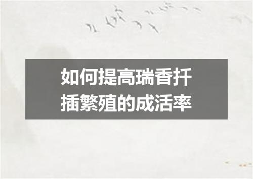 如何提高瑞香扦插繁殖的成活率