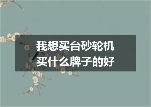 我想买台砂轮机买什么牌子的好