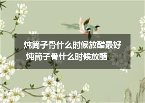 炖筒子骨什么时候放醋最好 炖筒子骨什么时候放醋