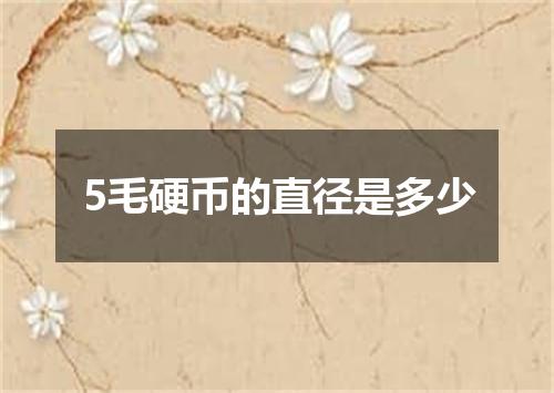 5毛硬币的直径是多少