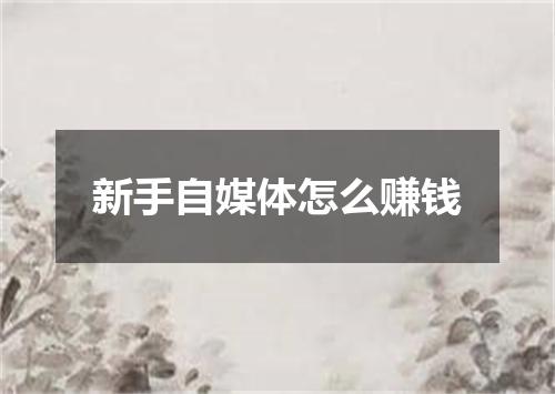 新手自媒体怎么赚钱