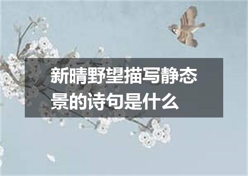 新晴野望描写静态景的诗句是什么