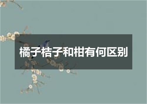 橘子桔子和柑有何区别