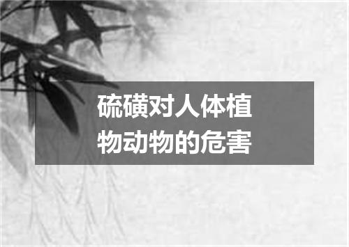 硫磺对人体植物动物的危害