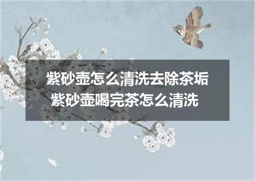 紫砂壶怎么清洗去除茶垢 紫砂壶喝完茶怎么清洗