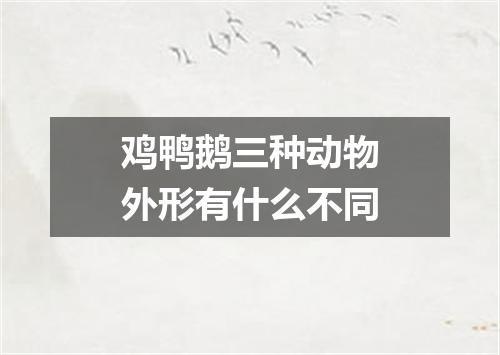 鸡鸭鹅三种动物外形有什么不同