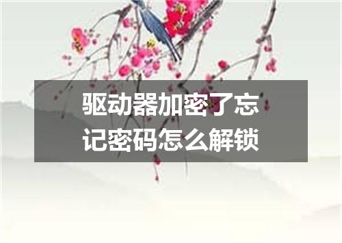 驱动器加密了忘记密码怎么解锁