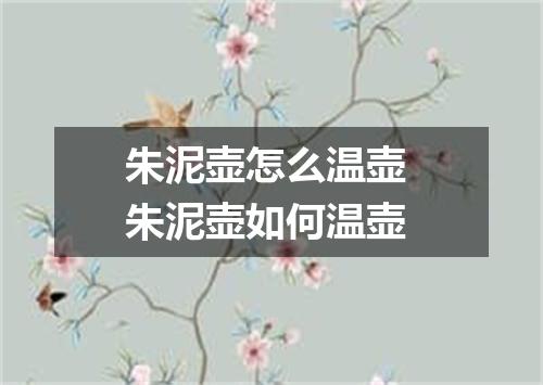 朱泥壶怎么温壶 朱泥壶如何温壶