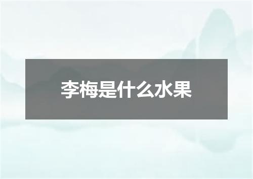 李梅是什么水果