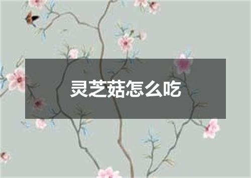 灵芝菇怎么吃