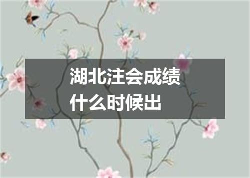 湖北注会成绩什么时候出