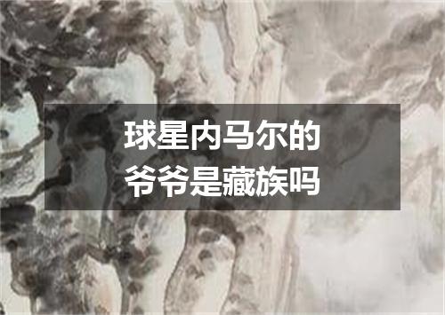 球星内马尔的爷爷是藏族吗