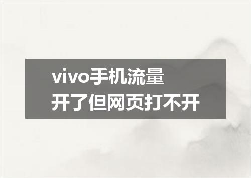 vivo手机流量开了但网页打不开