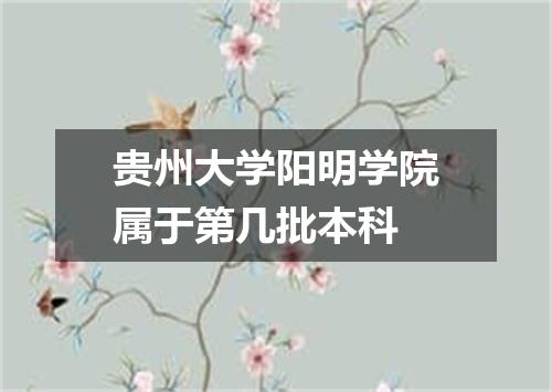 贵州大学阳明学院属于第几批本科