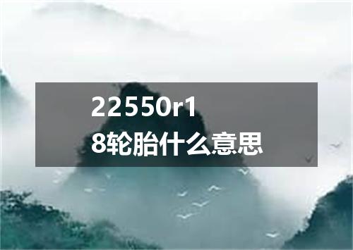 22550r18轮胎什么意思