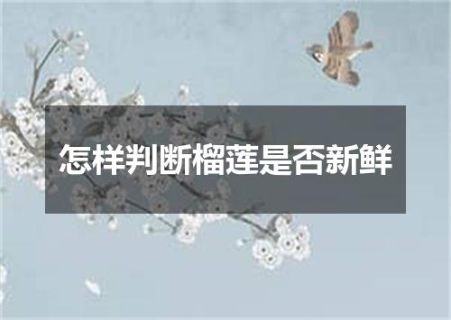 怎样判断榴莲是否新鲜