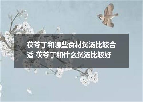 茯苓丁和哪些食材煲汤比较合适 茯苓丁和什么煲汤比较好