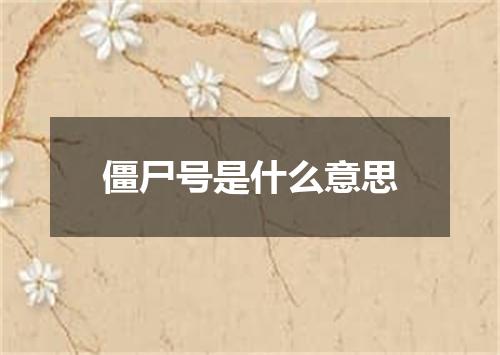 僵尸号是什么意思