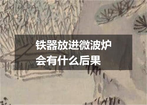 铁器放进微波炉会有什么后果