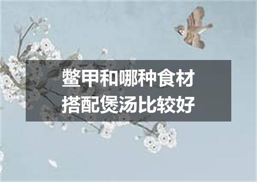 鳖甲和哪种食材搭配煲汤比较好