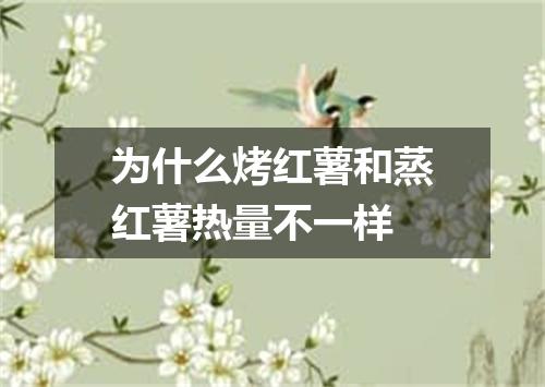 为什么烤红薯和蒸红薯热量不一样