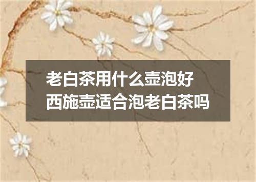 老白茶用什么壶泡好 西施壶适合泡老白茶吗